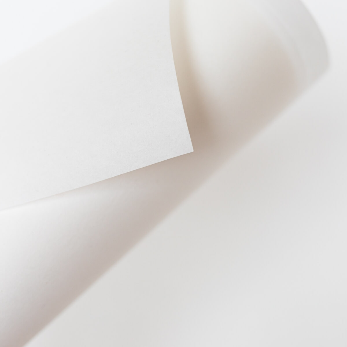 SULKY TEAR AWAY PLUS white, 50cm x 25m